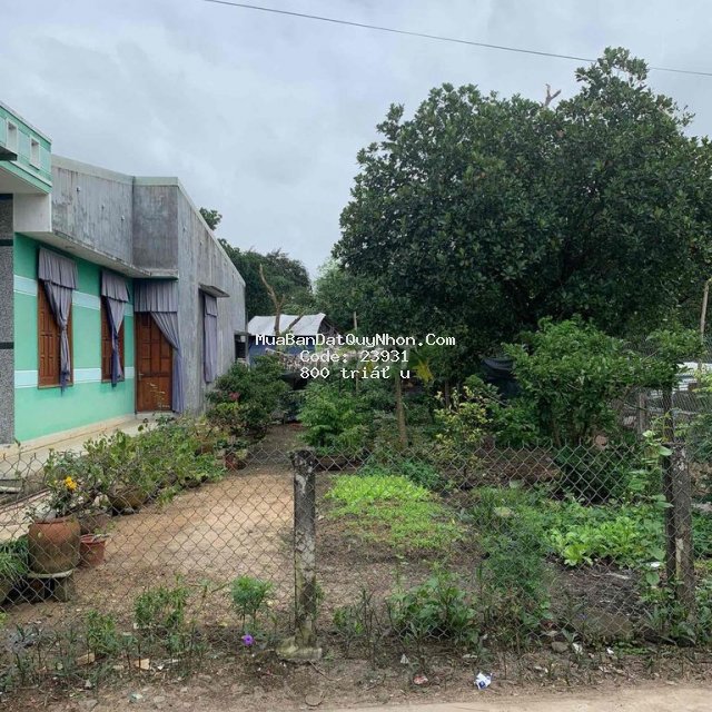 Chính chủ cần bán lô đất tại xã tuy phước tây, tỉnh gia lai Chính chủ cần bán lô đất tại xã tuy phước tây, tỉnh gia lai