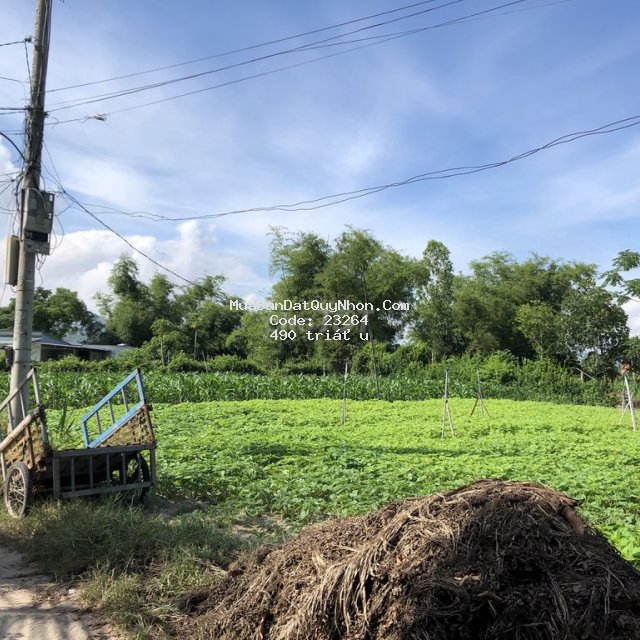 Chủ cần tiền bán gấp lôđất xã phước an, huyện tuy phước, 478m2.