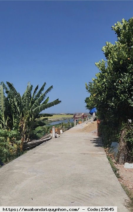 Chủ đất cần bán gấp lô đất view sông tại Mỹ Cang, Phước Sơn, giá hấp dẫn Chủ đất cần bán gấp lô đất view sông tại Mỹ Cang, Phước Sơn, giá hấp dẫn