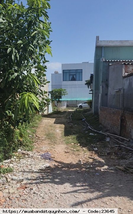 Chủ đất cần bán gấp lô đất view sông tại Mỹ Cang, Phước Sơn, giá hấp dẫn Chủ đất cần bán gấp lô đất view sông tại Mỹ Cang, Phước Sơn, giá hấp dẫn