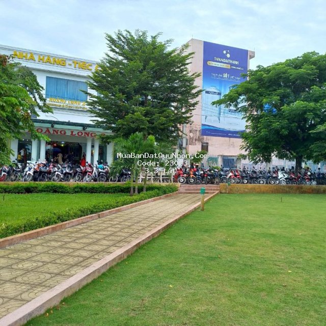 Cơ hội vàng-sở hửu đất đẹp ngay tt diêu trì- rẻ hơn 400trieu Cơ hội vàng-sở hửu đất đẹp ngay tt diêu trì- rẻ hơn 400trieu