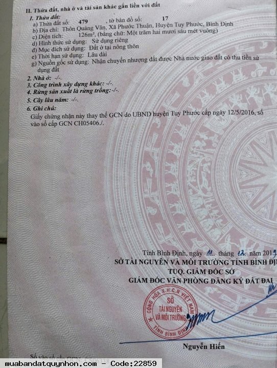 Đất nền giá rẻ tại xã Phước Thuận, huyện Tuy Phước, tỉnh Bình Định Đất nền giá rẻ tại xã Phước Thuận, huyện Tuy Phước, tỉnh Bình Định