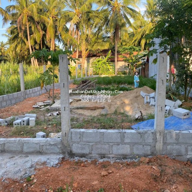 đất thổ cư toàn bộ 177.1 m2 đất thổ cư toàn bộ 177.1 m2