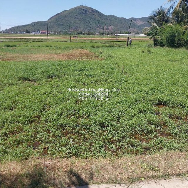 200 m2 (100% thổ cư) giá 500 tr gần biển đề gi