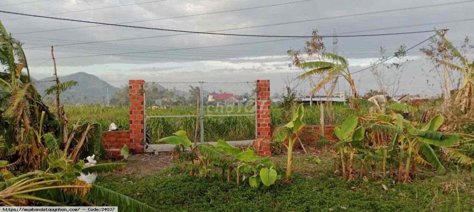 560m2 đất phước an sắp lên thổ