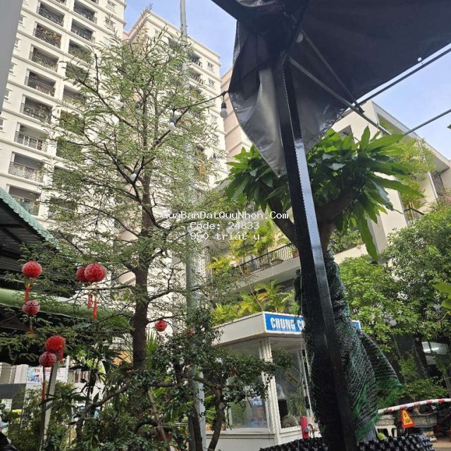 Bán chung cư xuân thủy ( chung cư hoàng văn thụ ) , quy nhơn Bán chung cư xuân thủy ( chung cư hoàng văn thụ ) , quy nhơn