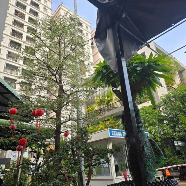 Bán chung cư xuân thủy, đường xuân thủy, quy nhơn