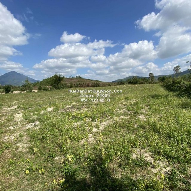 Bán đất nông nghiệp