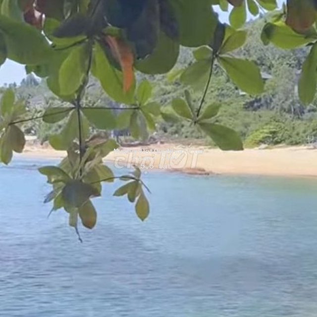 Bán lô đất mặt tiền view trực diện biển quy nhơn giá chỉ 5,5 tỷ Bán lô đất mặt tiền view trực diện biển quy nhơn giá chỉ 5,5 tỷ