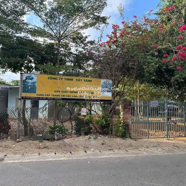 Chính chủ bán đất mặt tiền tl 639 – cát tiến – phù cát