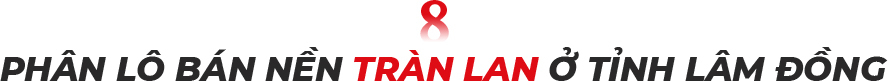 Phân lô bán nền tràn lan tại tỉnh Lâm Đồng