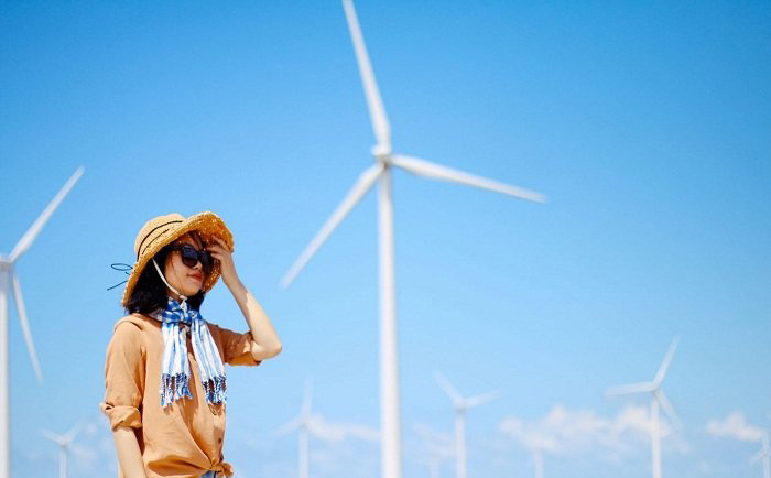 "Đẹp mê hồn" vơi Cánh Đồng Điện Gió Phương Mai Ở Quy Nhơn Bình Định