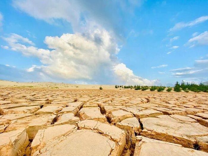 Sa mạc đất nứt