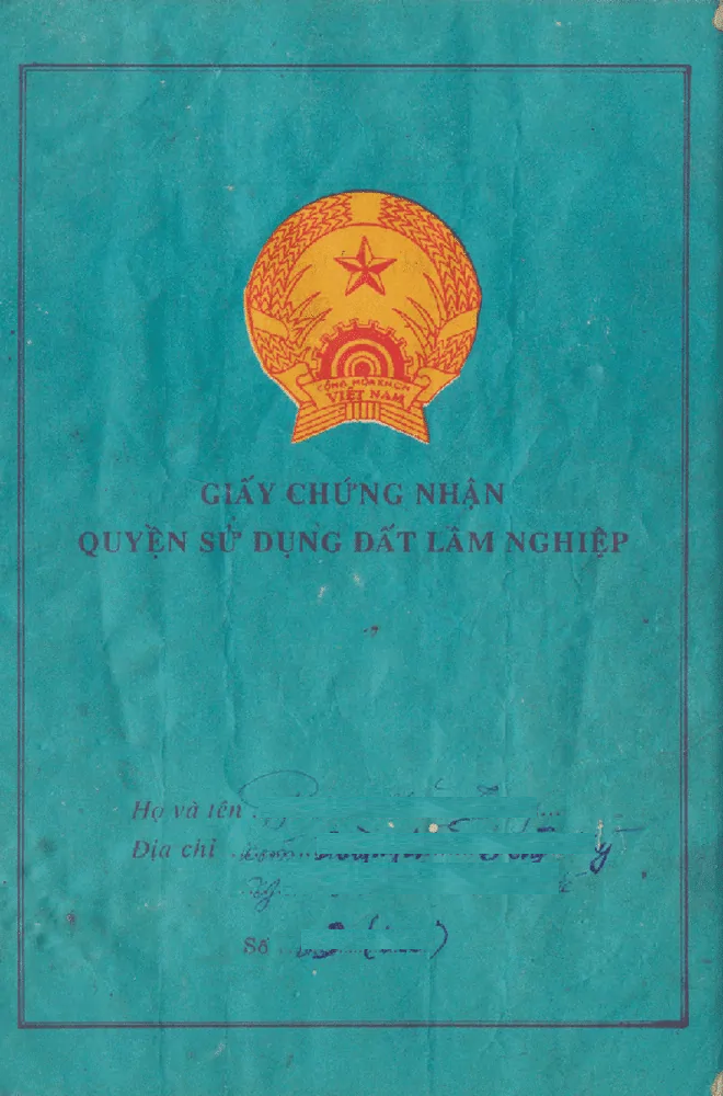 Sổ xanh trong BĐS là gì